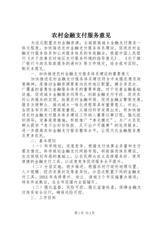 2024年农村金融支付服务意见