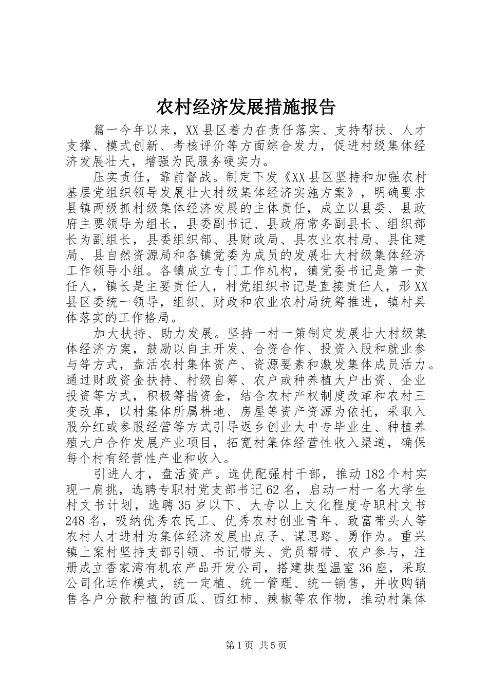 2024年农村经济发展措施报告_第1页