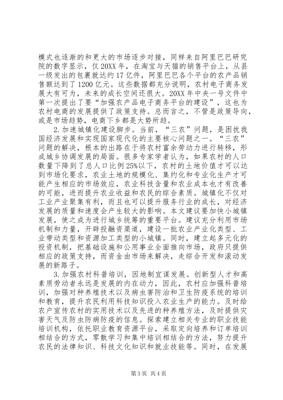2024年农村经济发展的新举措_第3页