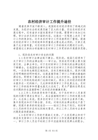 2024年农村经济审计工作提升途径