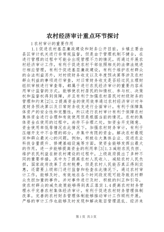 2024年农村经济审计重点环节探讨