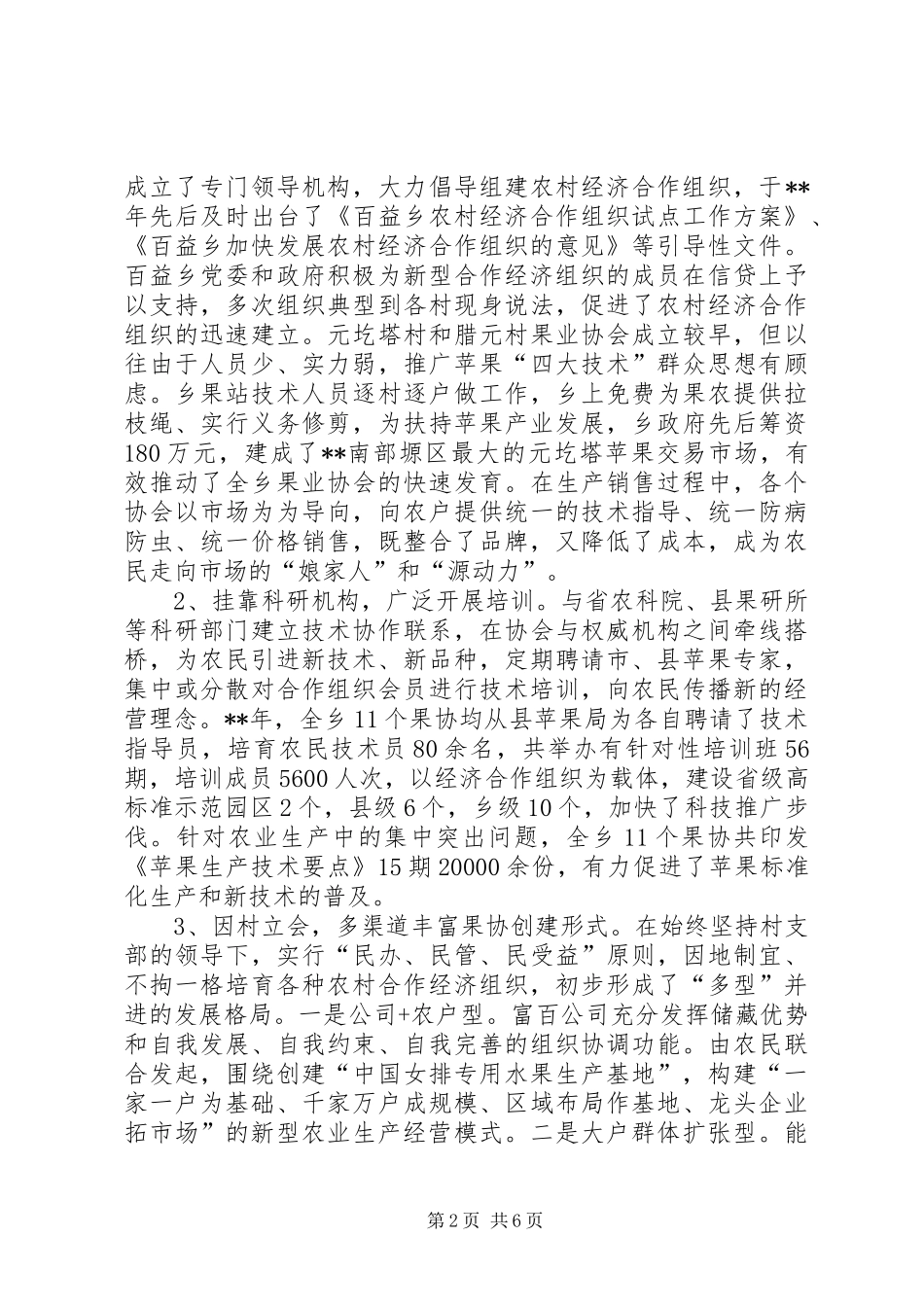 2024年农村经济组织思考_第2页