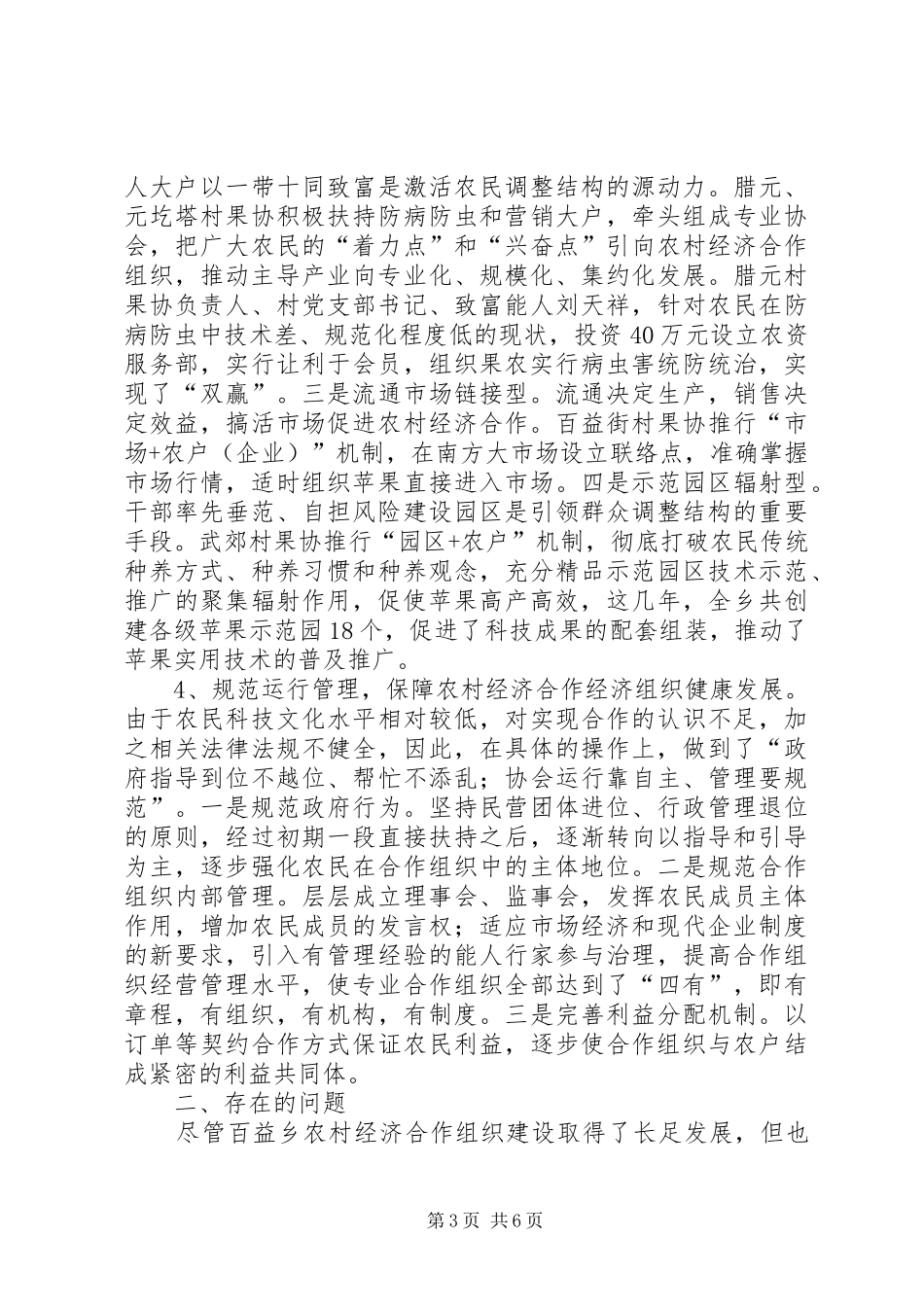 2024年农村经济组织思考_第3页