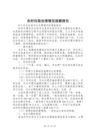 2024年农村垃圾处理情况视察报告