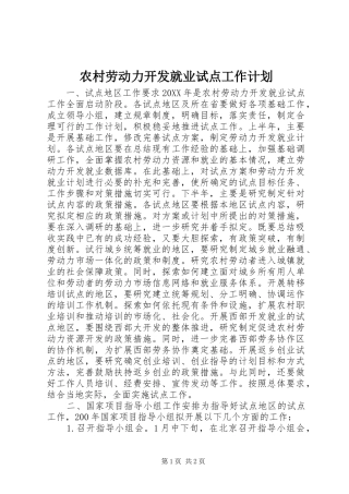 2024年农村劳动力开发就业试点工作计划