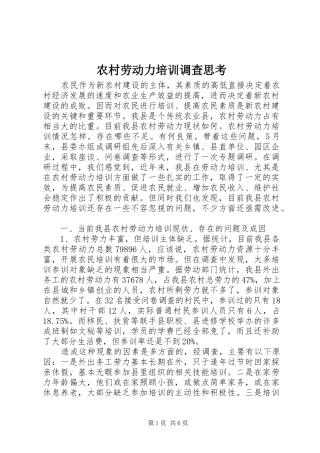 2024年农村劳动力培训调查思考