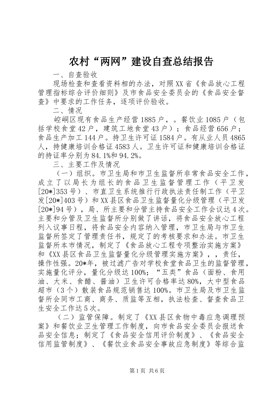 2024年农村两网建设自查总结报告_第1页