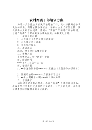 2024年农村两委干部培训方案