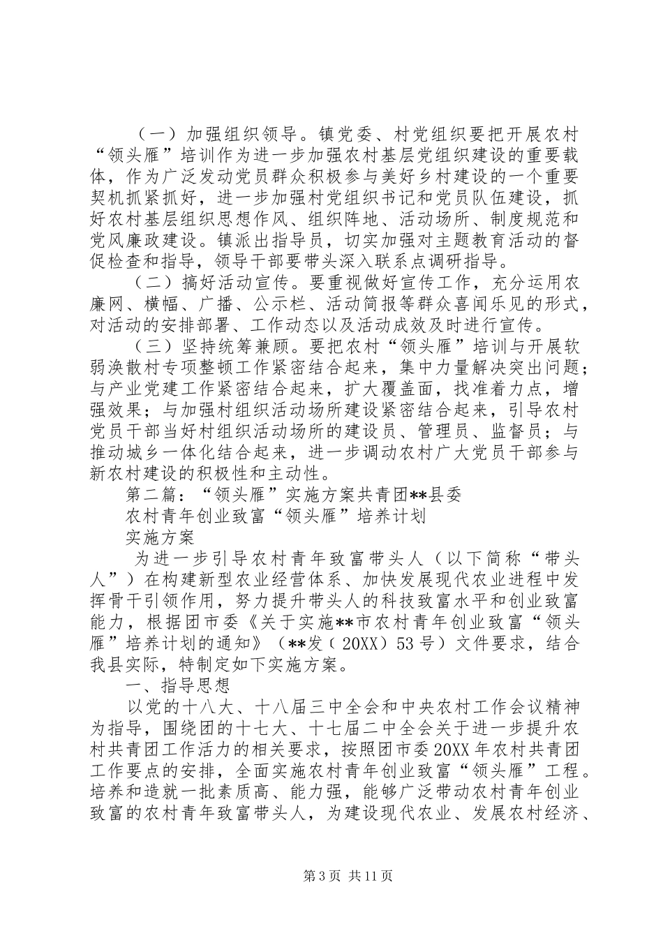 2024年农村领头雁培训实施方案_第3页