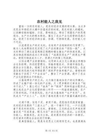 2024年农村能人之我见