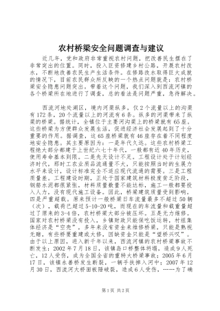 2024年农村桥梁安全问题调查与建议