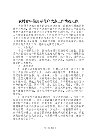 2024年农村青年信用示范户试点工作情况汇报