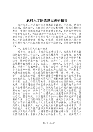 2024年农村人才队伍建设调研报告