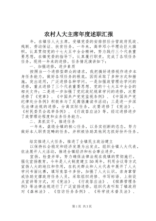 2024年农村人大主席年度述职汇报