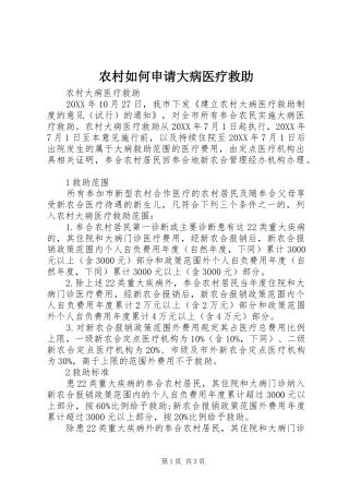 2024年农村如何申请大病医疗救助