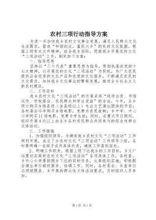 2024年农村三项行动指导方案