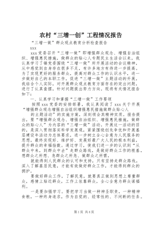 2024年农村三增一创工程情况报告
