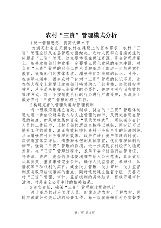 2024年农村三资管理模式分析