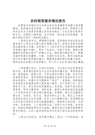 2024年农村商贸服务情况报告