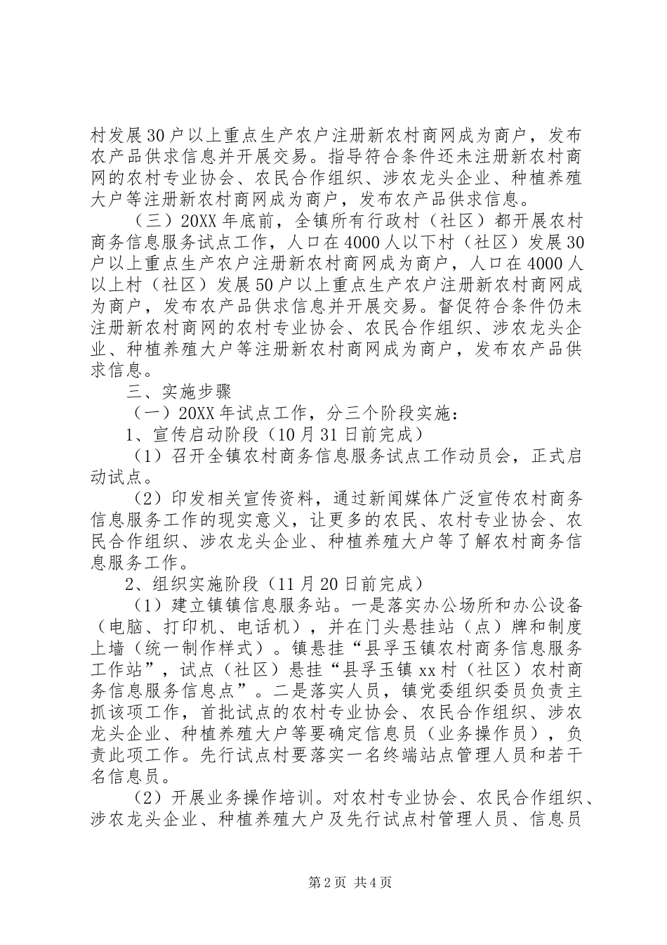 2024年农村商务信息服务工作方案_第2页