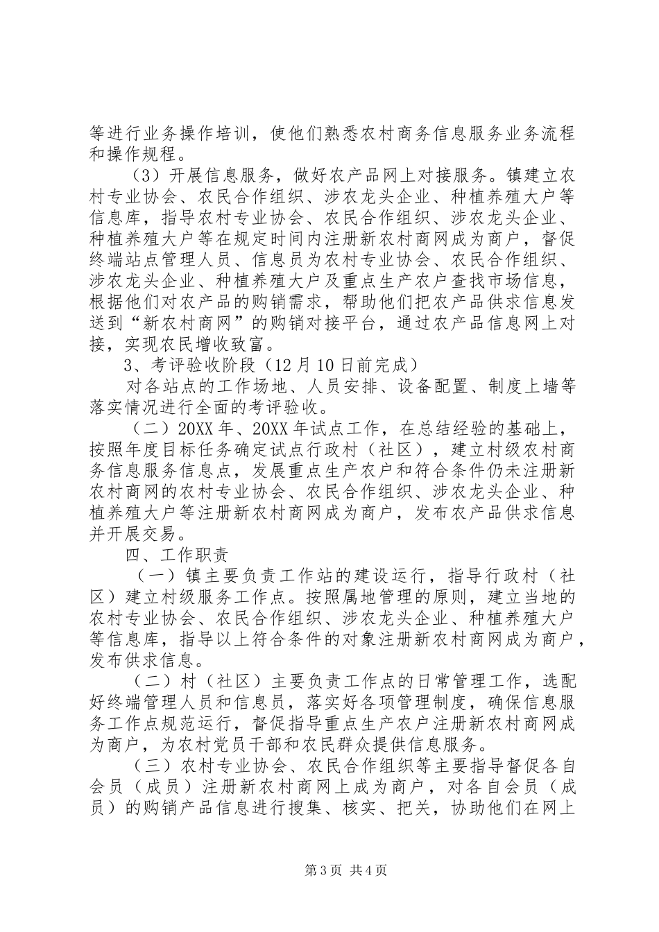 2024年农村商务信息服务工作方案_第3页
