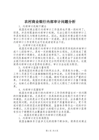 2024年农村商业银行内部审计问题分析