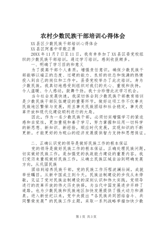 2024年农村少数民族干部培训心得体会