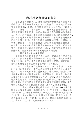 2024年农村社会保障调研报告