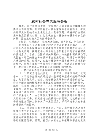 2024年农村社会养老服务分析