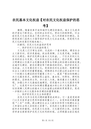 2024年农民基本文化权益对农民文化权益保护的思考