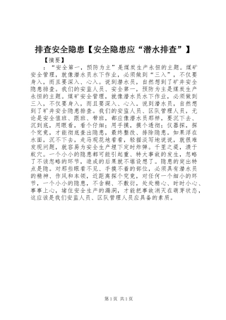 2024年排查安全隐患安全隐患应潜水排查