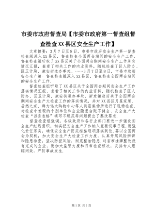 2024年市委市政府督查局市委市政府第一督查组督查检查县区安全生产工作
