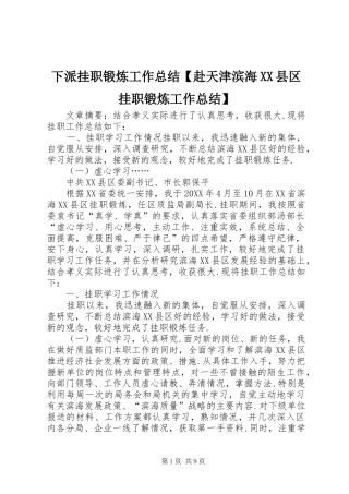 2024年下派挂职锻炼工作总结赴天津滨海县区挂职锻炼工作总结
