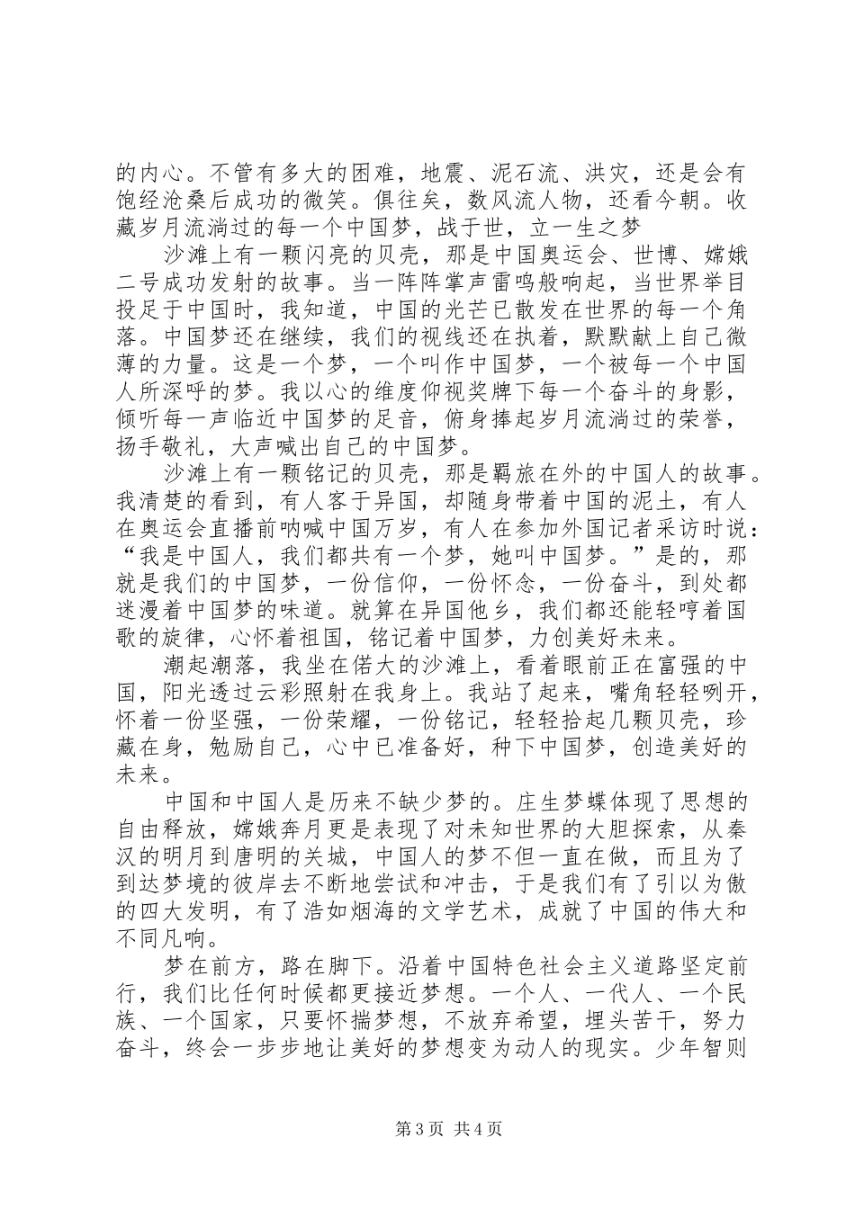 2024年逐梦路上演讲稿王安琪_第3页