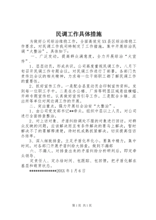 2024年民调工作具体措施