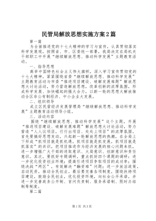 2024年民管局解放思想实施方案篇