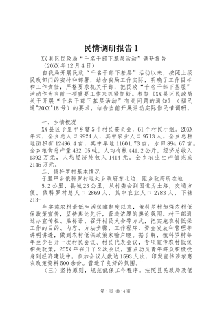 2024年民情调研报告