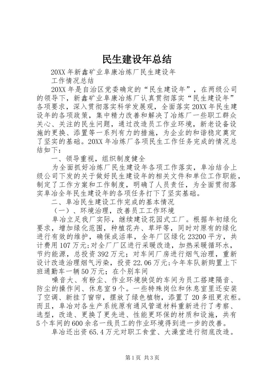 2024年民生建设年总结_第1页