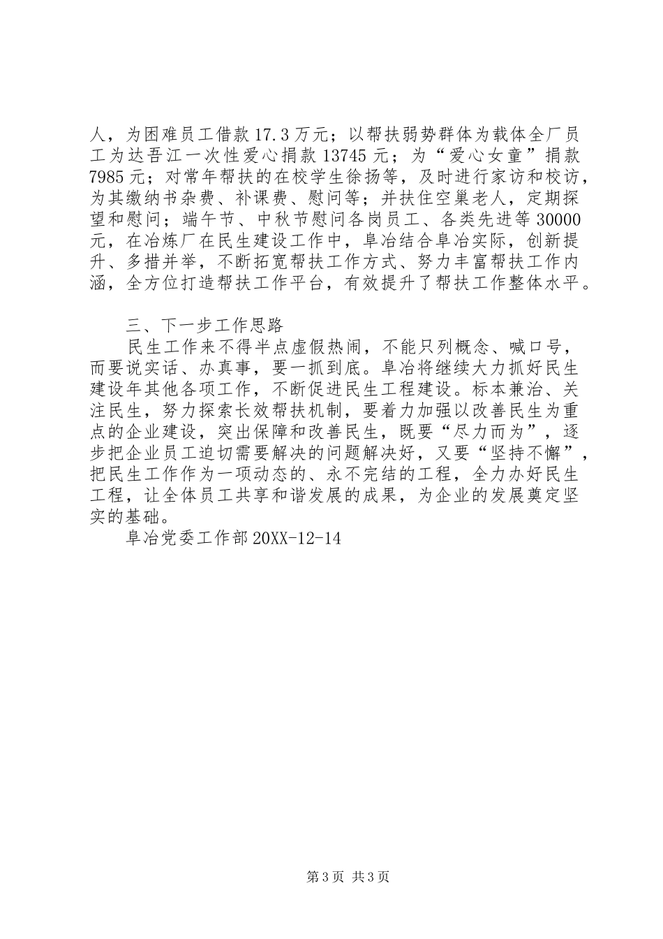 2024年民生建设年总结_第3页