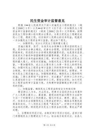 2024年民生资金审计监督意见