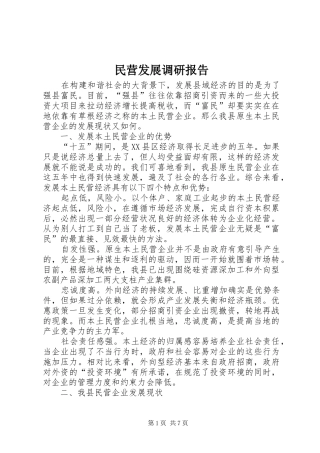 2024年民营发展调研报告