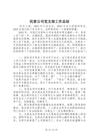 2024年民营公司党支部工作总结