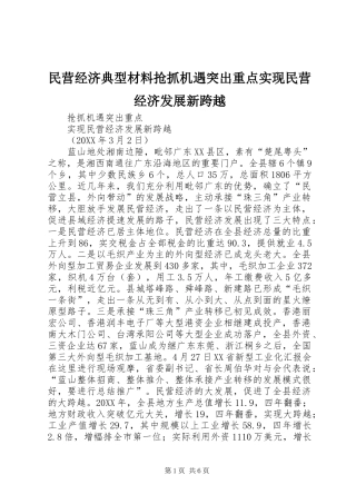 2024年民营经济典型材料抢抓机遇突出重点实现民营经济发展新跨越