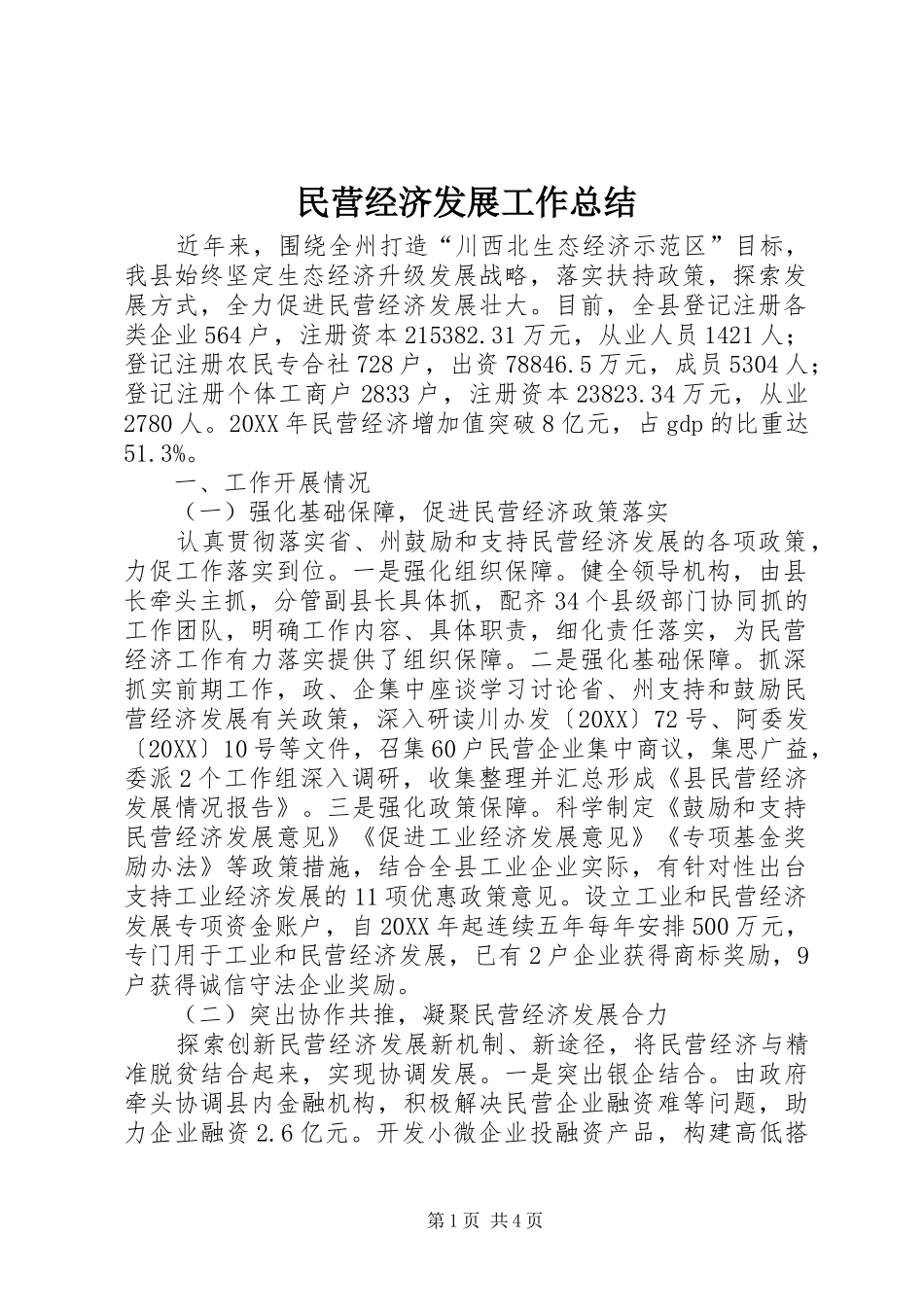 2024年民营经济发展工作总结_第1页