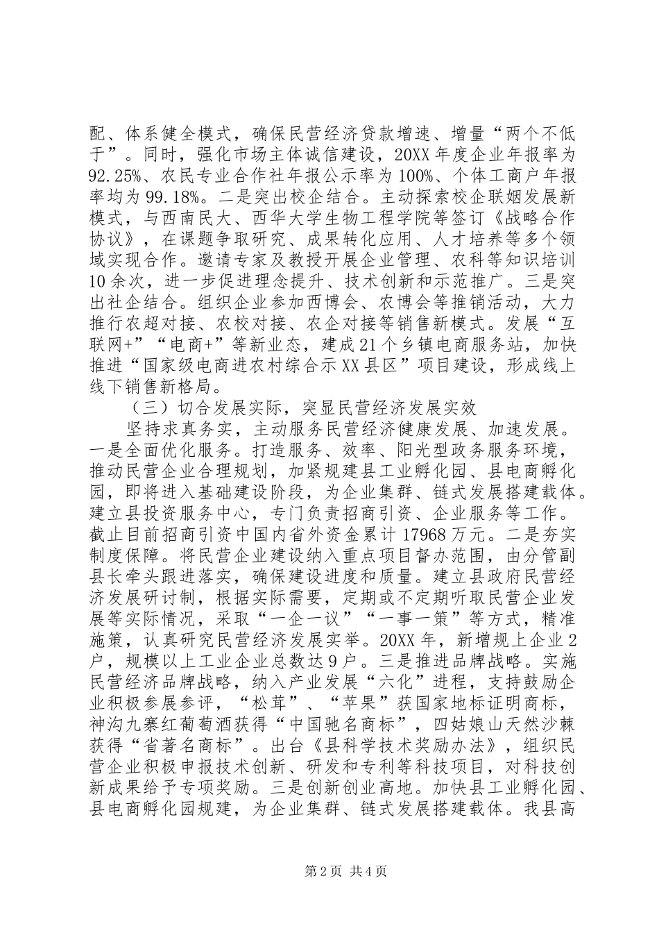 2024年民营经济发展工作总结_第2页