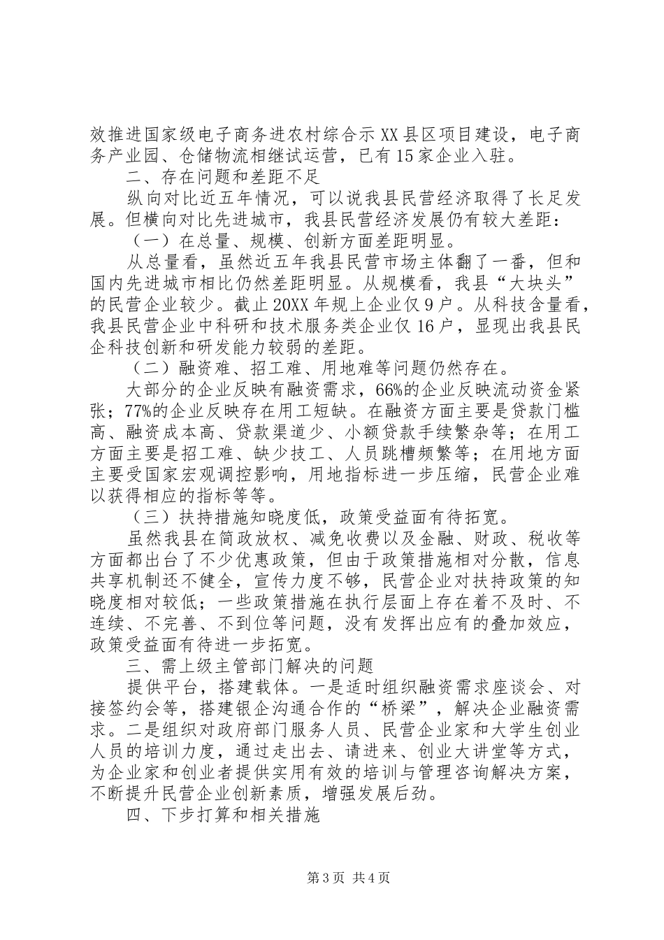 2024年民营经济发展工作总结_第3页