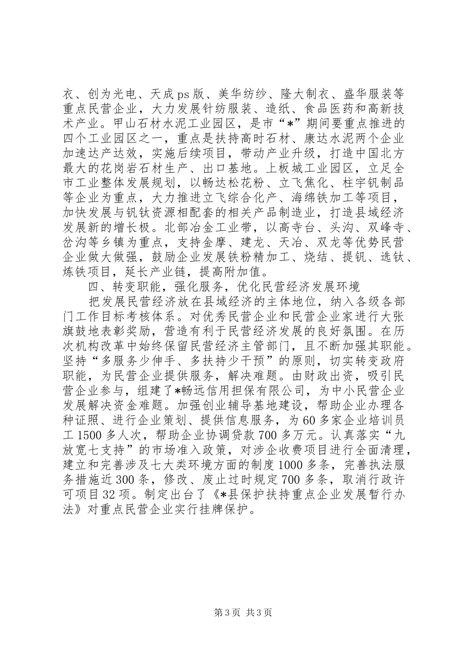 2024年民营经济发展交流材料_第3页