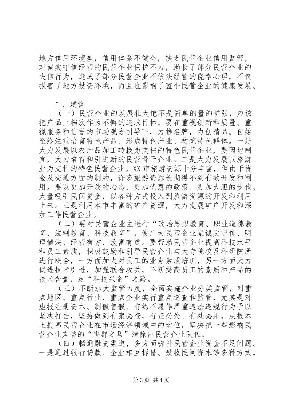 2024年民营经济发展问题思考_第3页