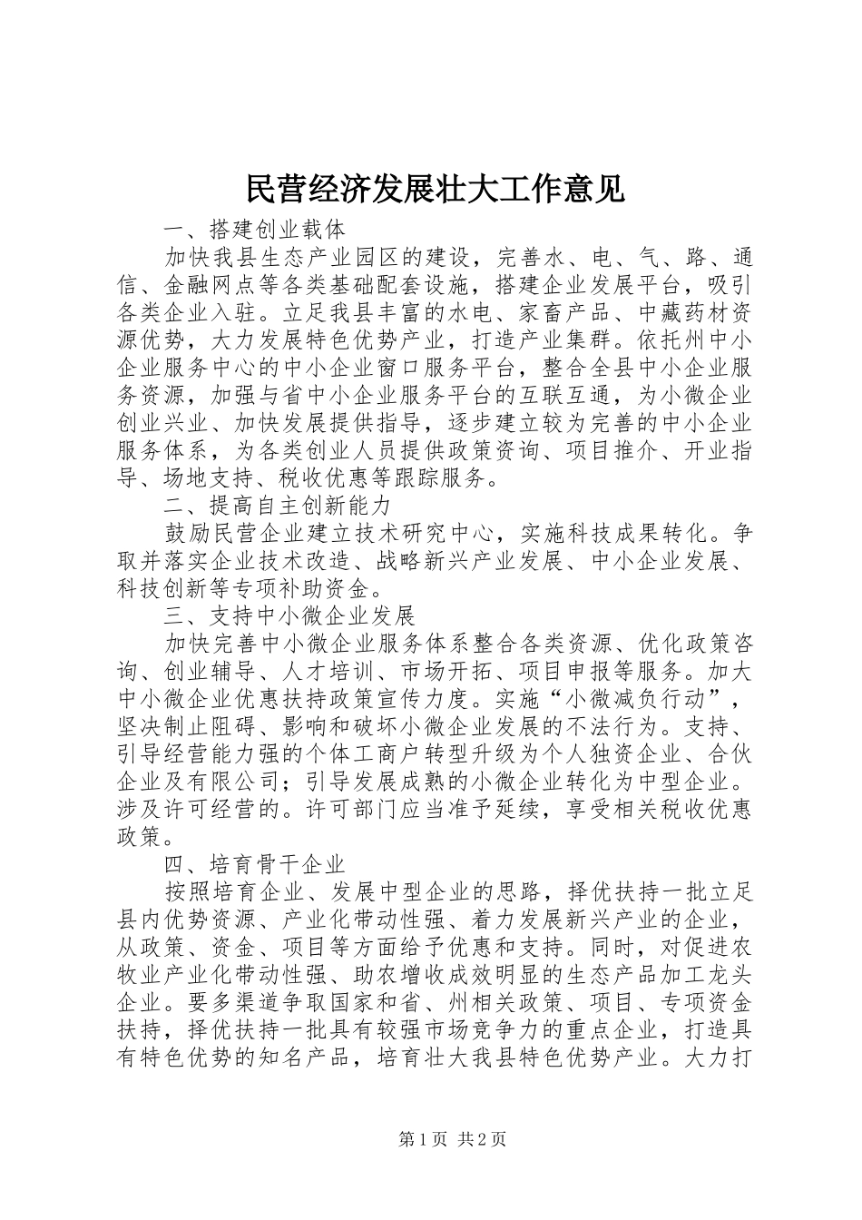 2024年民营经济发展壮大工作意见_第1页