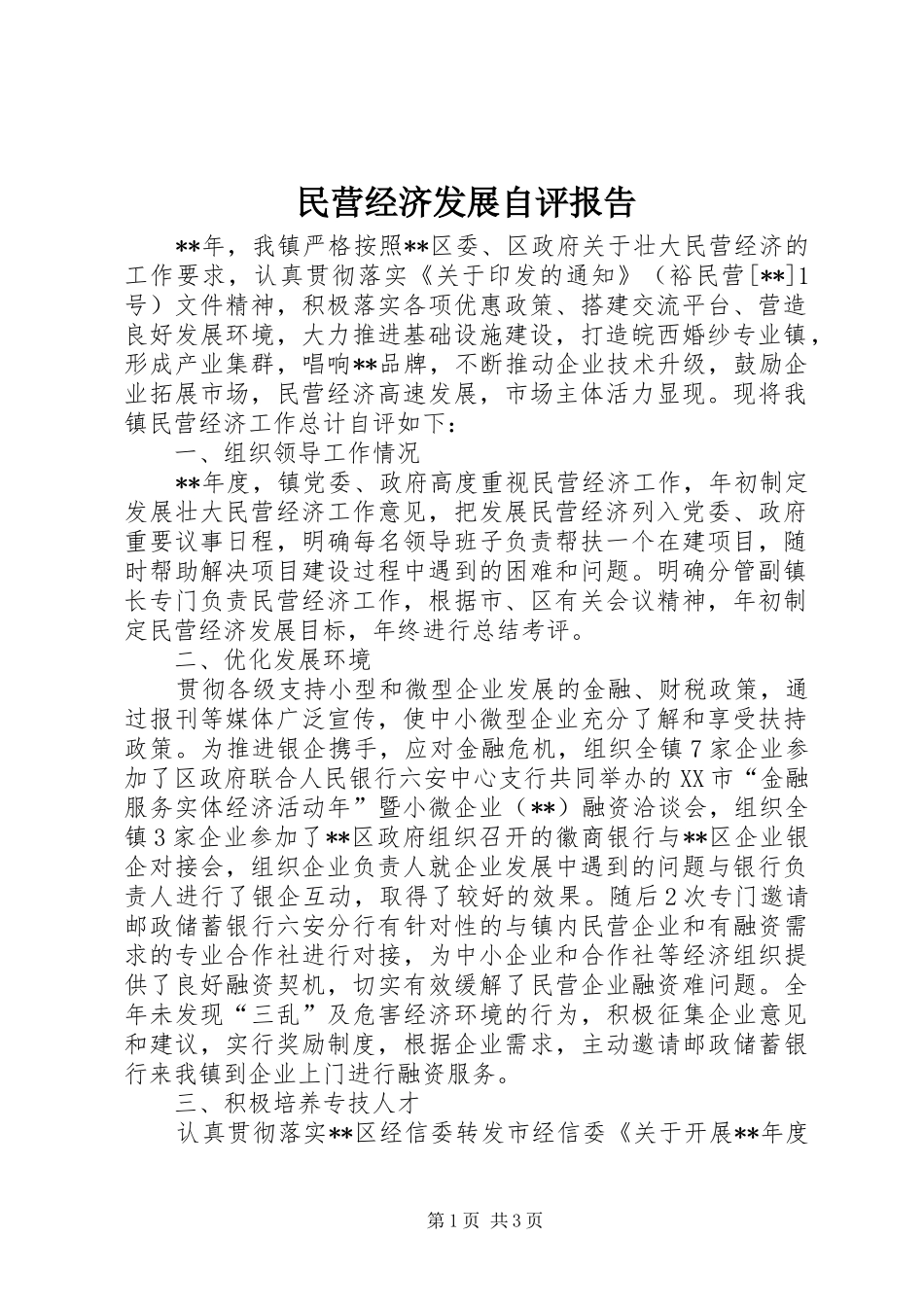 2024年民营经济发展自评报告_第1页
